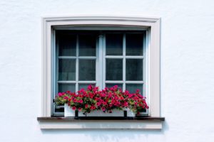 ;window 