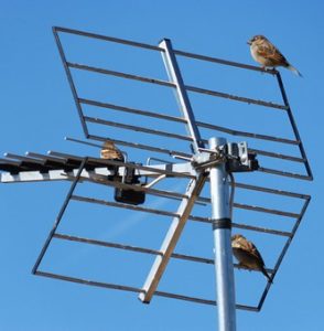 tv antenna