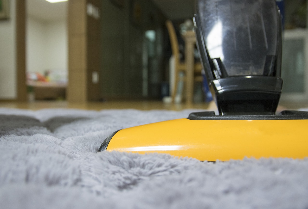 clean carpet